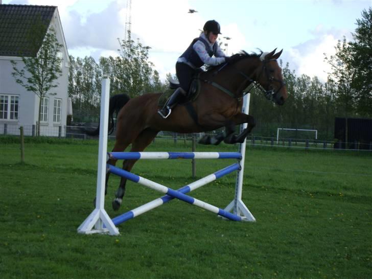 Anden særlig race Thilde *Solgt* - Træning sommer 09<3 billede 20