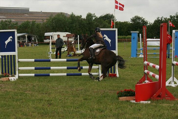 New Forest Marvin - LB 1.plads :) omhop billede 3