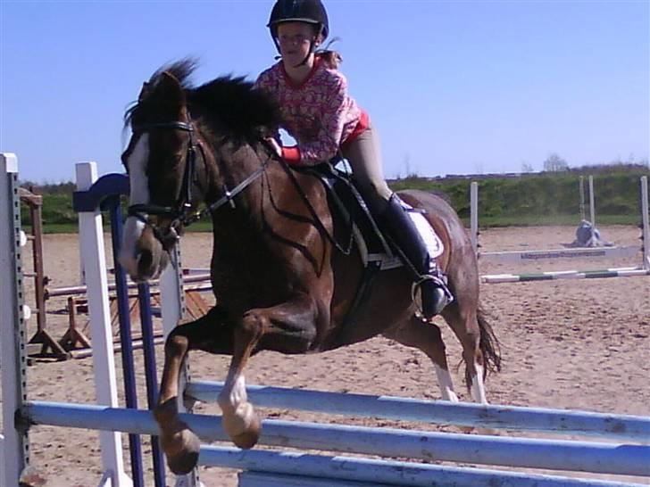 New Forest Marvin - Mig og marvin <3 :D billede 9