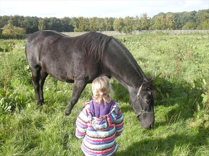 Anden særlig race Bella - Lille søster og Bella putten<3 billede 8