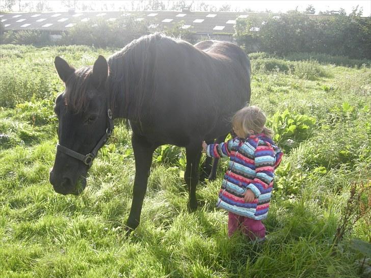 Anden særlig race Bella - Veninder<3 billede 10