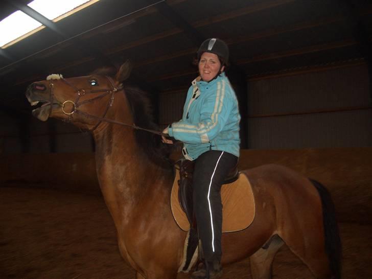 Dansk Varmblod Bakkebo´s Le´ Moni- Rip smukke limse ?? billede 11