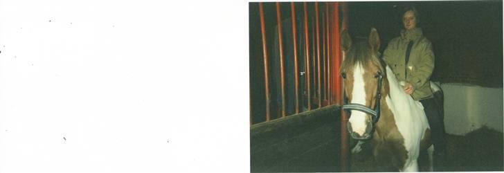 Anden særlig race sandy<3 R.I.P - ups.. vidst ikke helt tilladt.. :) billede 3