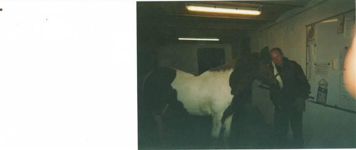 Anden særlig race sandy<3 R.I.P - sandy og min far .. taget på  det tidligere åstrup rideskole billede 4