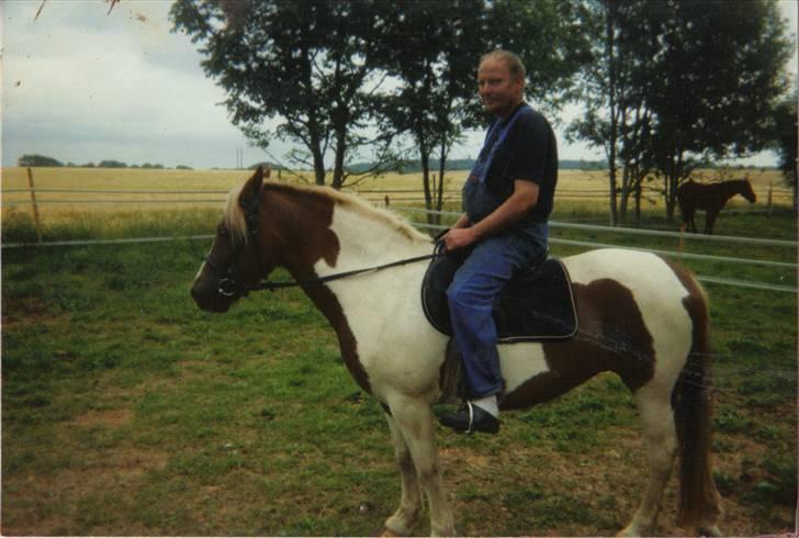 Anden særlig race sandy<3 R.I.P - hehe.. på dette biled har jeg ikk haft hende særlig længe.. fik min far overtalt til at prøve.. hans første gang på en hest:) billede 8