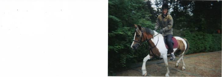 Anden særlig race sandy<3 R.I.P - min veninde stine der staver op ad trapper med hende:) billede 9