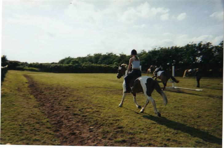 Anden særlig race sandy<3 R.I.P - til stævne i rødekro ..  billede 10