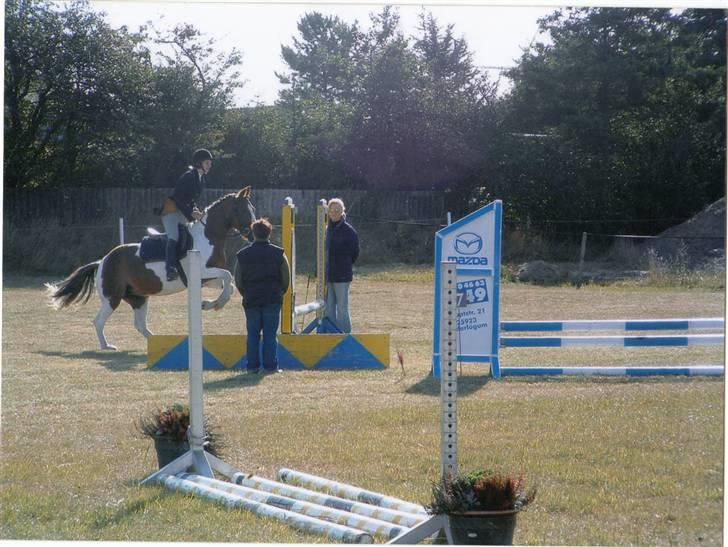 Anden særlig race sandy<3 R.I.P - jajah.. over kommer hun ihvertfald.. grin.. en skøn pony billede 12