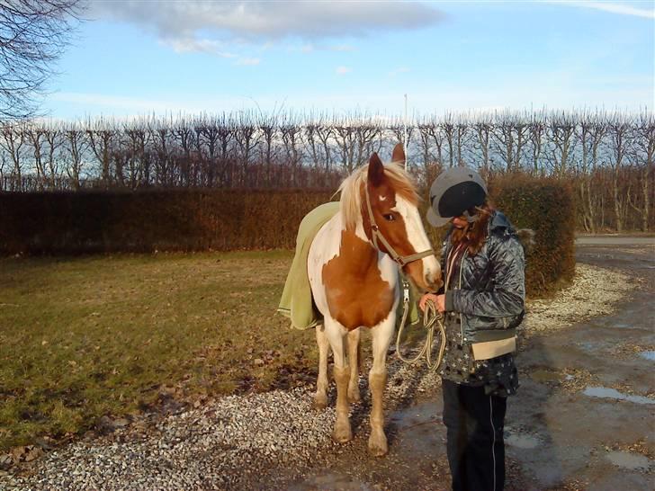 Anden særlig race Kiwidinok - Kiwi på tur idag, solen skinnede :D billede 18