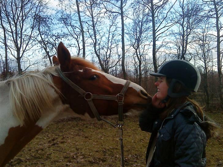 Anden særlig race Kiwidinok - Kiwi lige inden han oversjavler mit hovede ;D billede 19