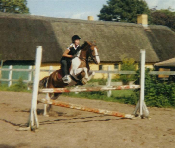 Anden særlig race sandy<3 R.I.P - spring ved mette obbesen:) sikke den pony ku hoppe billede 15