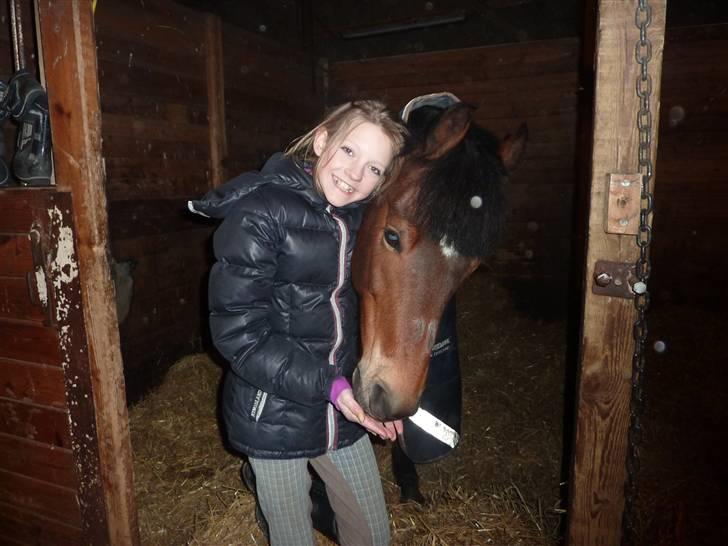 New Forest Mankehøjs Kaval - (5)  Jeg elsker dig <3 foto: Ida L billede 5