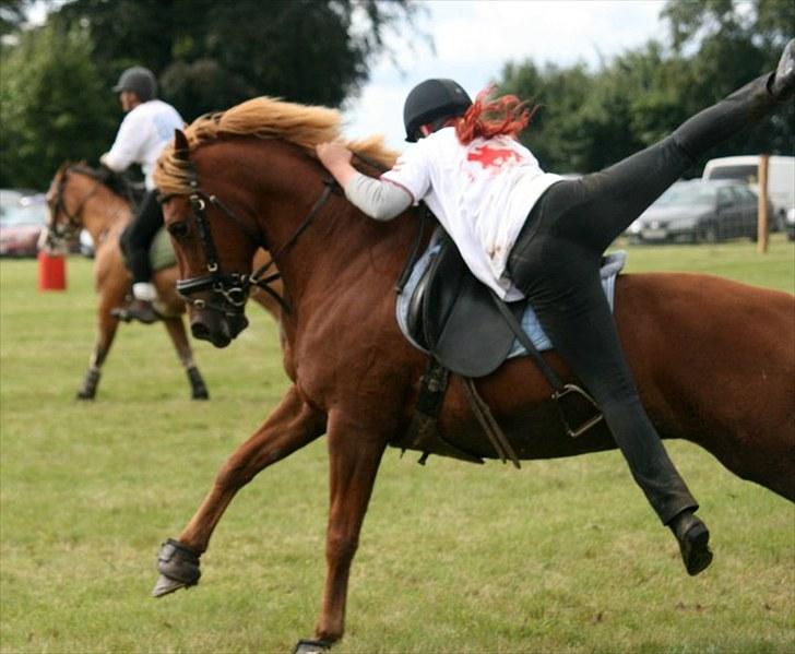 Tysk Sportspony Cassy  - andet games stævne (; DM individuel<3 billede 18