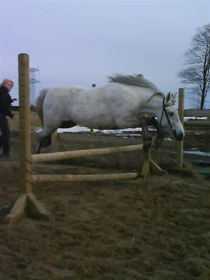 Anden særlig race Lísé<3  billede 8