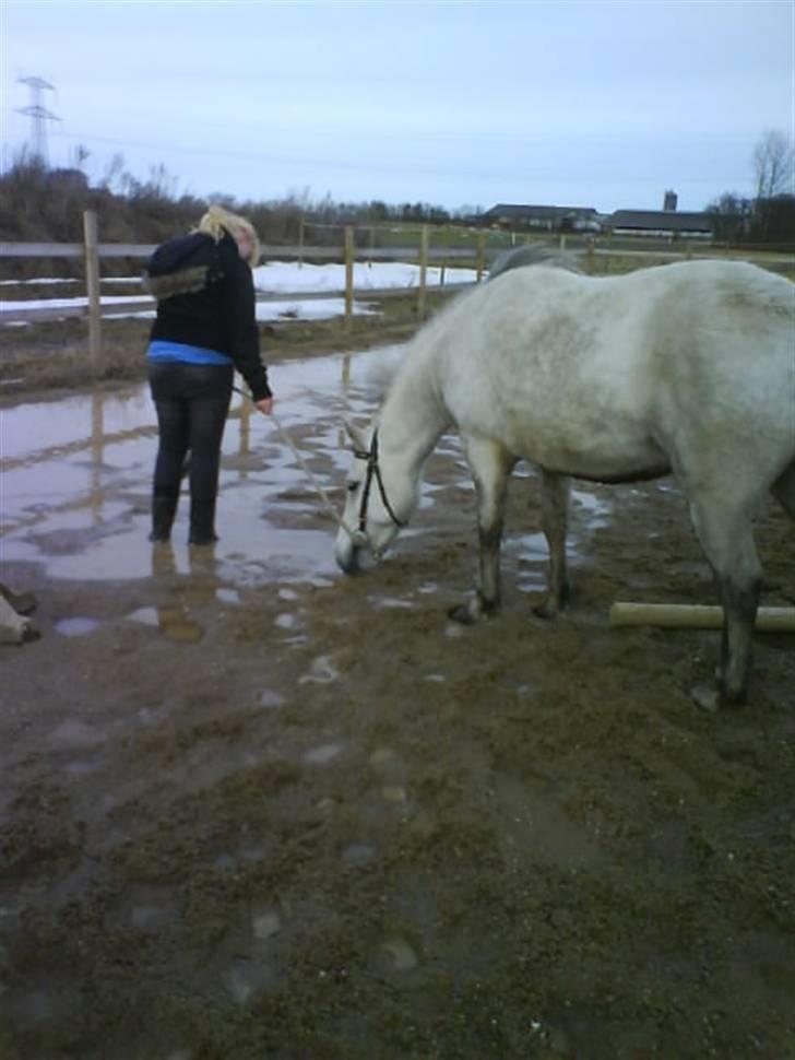 Anden særlig race Lísé<3  - kan di give mig tillid?<3 billede 9