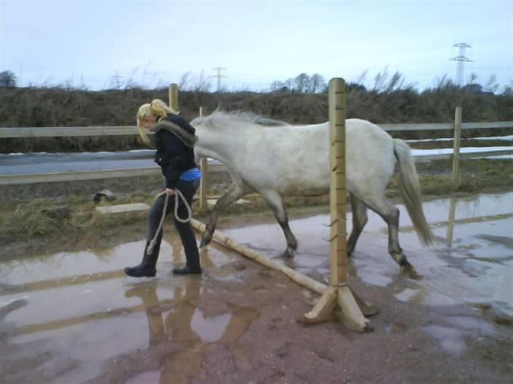 Anden særlig race Lísé<3  - omg! jeg elsker dig pony!<3 billede 10