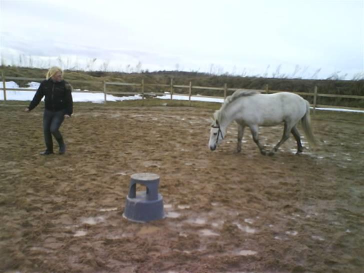 Anden særlig race Lísé<3  - lise følger efter mig :D billede 11