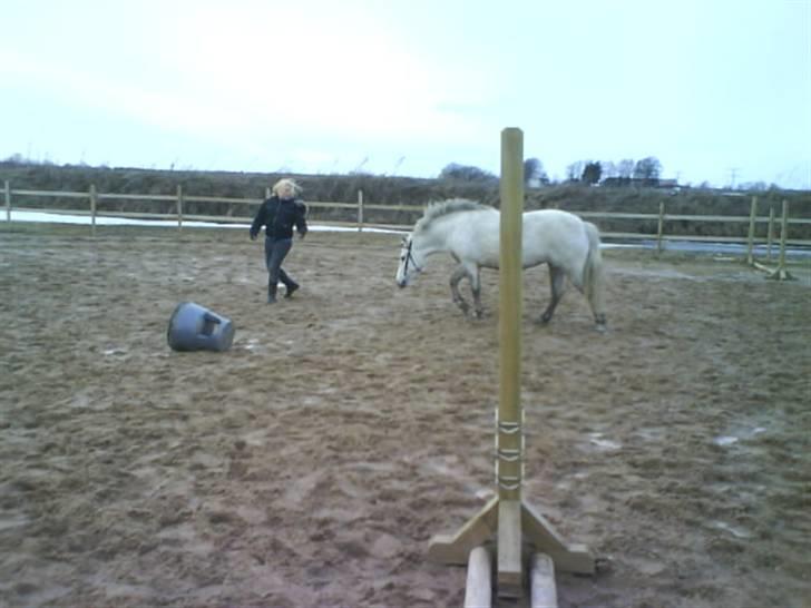 Anden særlig race Lísé<3  billede 12