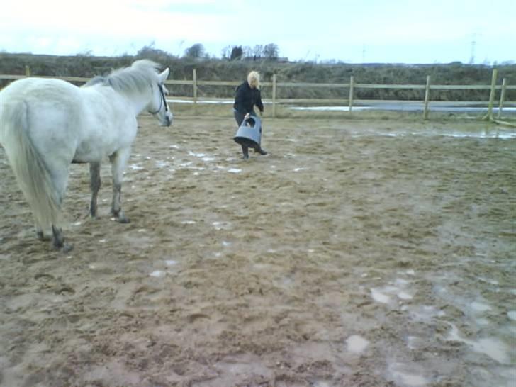 Anden særlig race Lísé<3  billede 13