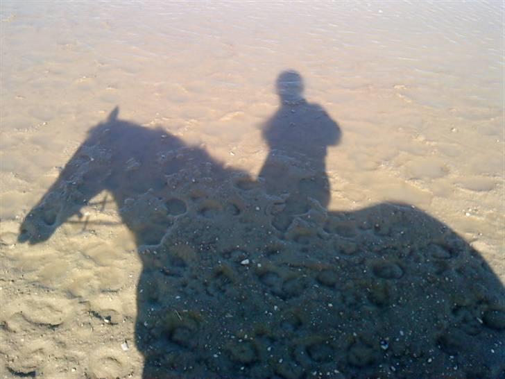 Anden særlig race Boogie +R.I.P+ >>savnes<< - Vores skygge <3 billede 15