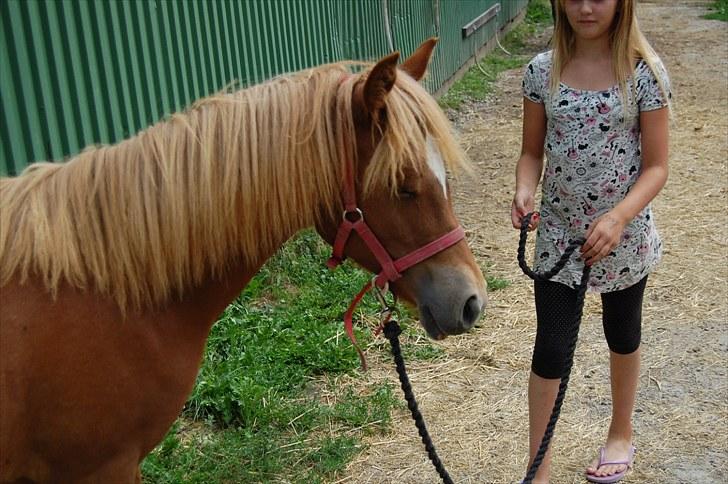 Anden særlig race Valbjerggaard's Casiopaia - Casiopaia står lige og sover lidt xD billede 15