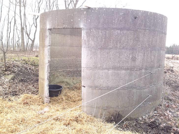 Shetlænder Smilla "solgt" - smilla´s hjem, lige pt.. det er meningen at dolf skal gå sammen med hende, men pt skal hun bo her, fordi hun lige skal vende sig til det..  billede 3