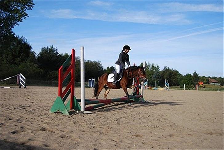 Anden særlig race tanja R.I.P - velkommen mig og tanja til spring stævne 2008 billede 1