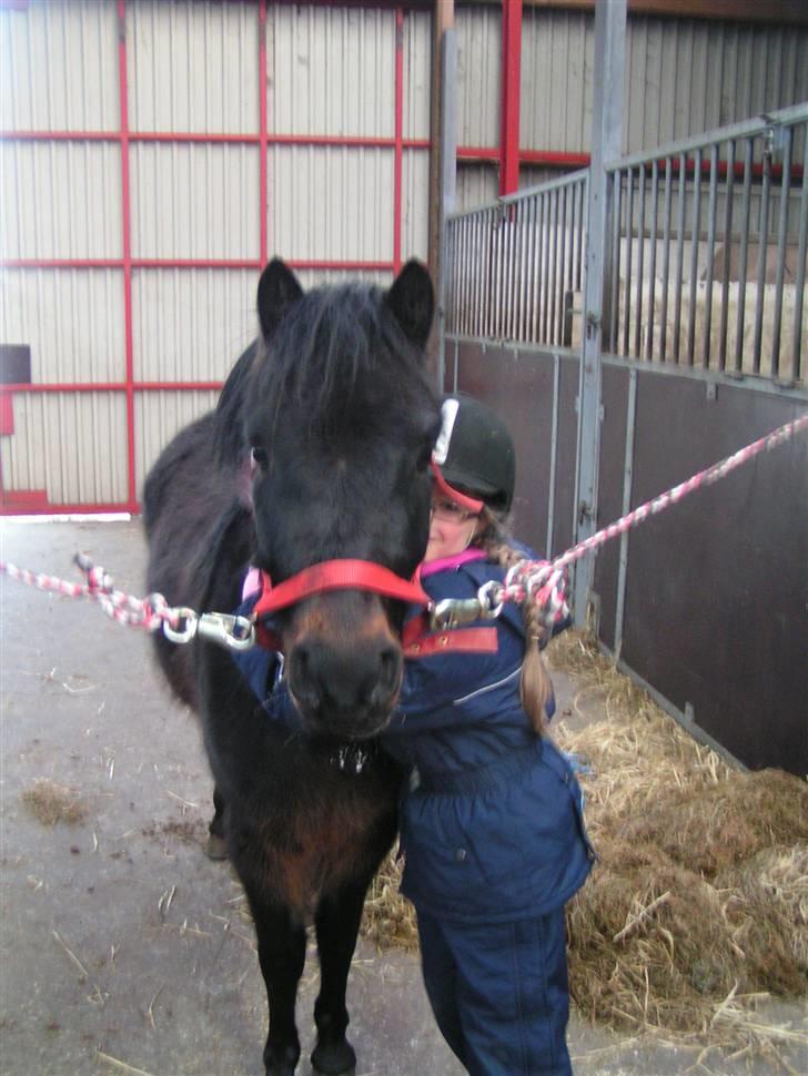 Dartmoor Anc-Neu Eri  - Kærlighed ved første blik billede 1