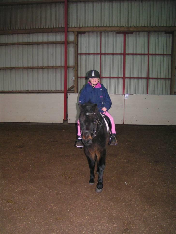 Dartmoor Anc-Neu Eri  - første ridetur billede 4