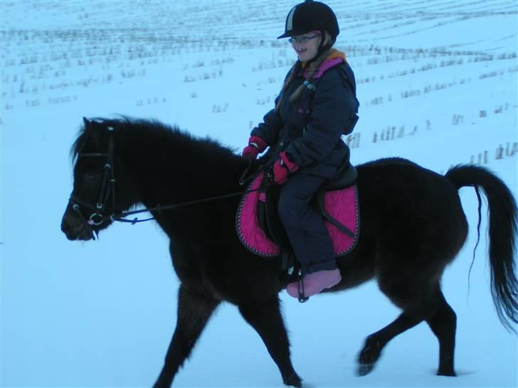 Dartmoor Anc-Neu Eri  - Så skulle Sara have en ridetur i sneen med hendes nye pony billede 7