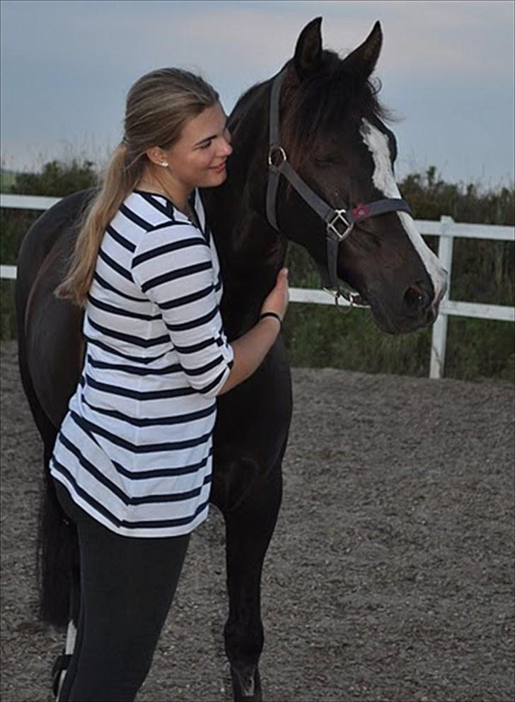 Irsk Sportspony MB Lady Star - RIP  - Fordi du er verdens sjeste,smukkeste og dejligste Ged!<3 Elsker dig<3 billede 18