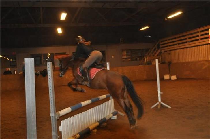 DSP Asprilla billede 14