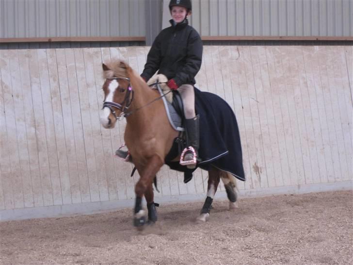 DSP Moonjams´s Symfoni - skridter til<3 billede 2