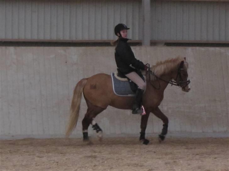 DSP Moonjams´s Symfoni - min symfo<3 billede 6