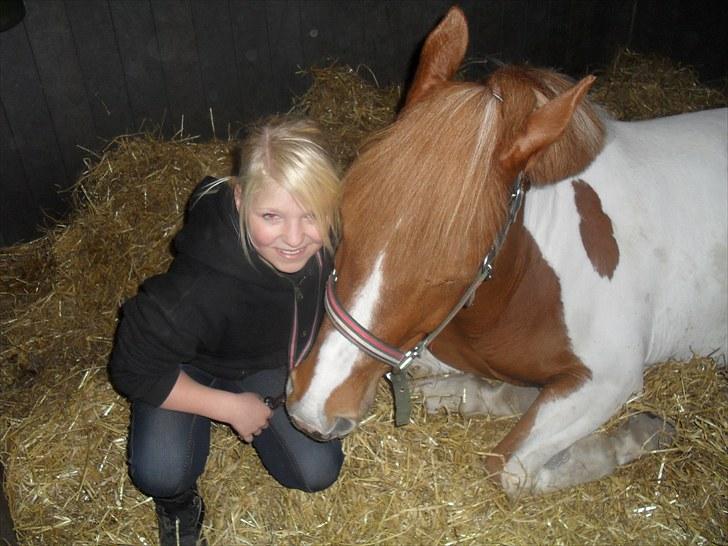 Anden særlig race Painted Beauty | - #7 Musse blev lidt træt <3 billede 7