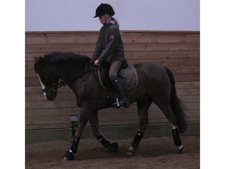 {{currentPhoto.altText}} billede {{currentPhoto.number}}