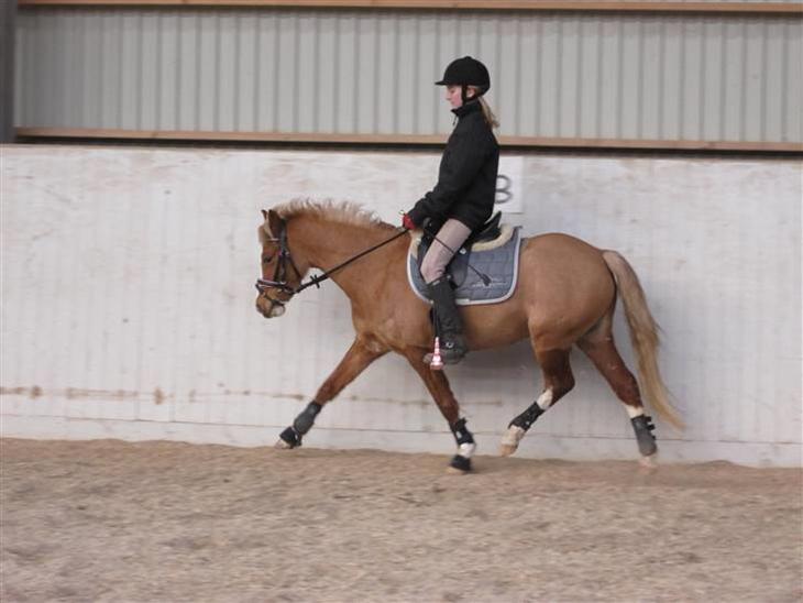 {{currentPhoto.altText}} billede {{currentPhoto.number}}