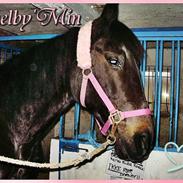 Traver Shelby <3 R.I.P