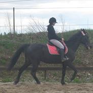 Traver Shelby <3 R.I.P