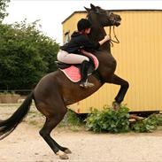 Traver Shelby <3 R.I.P