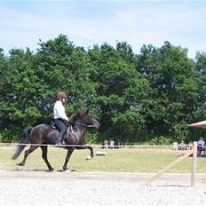 Islænder Prinsessa fra Pegasus