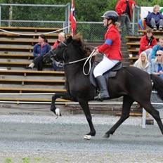 Islænder Prinsessa fra Pegasus