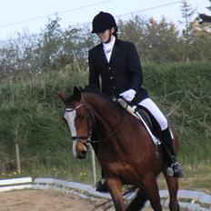 Fuldblod (XX) Competence (DEN)