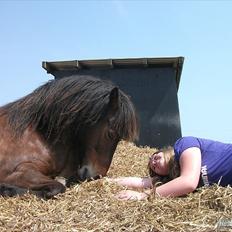 Anden særlig race Sigurd ¤Mit Eventyr :'/ ¤