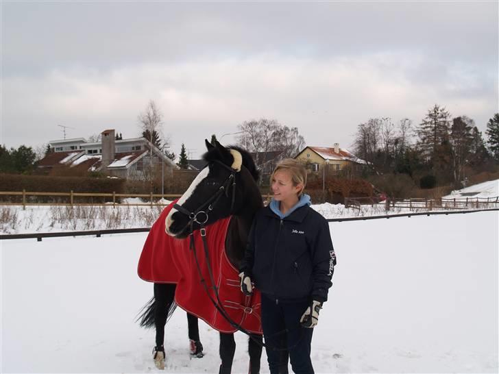 Anden særlig race Black Beauty  - Mig og sorte i sneen<3 (fotograf: jose) billede 13