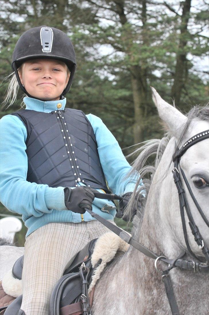 Anden særlig race Jazz B-pony :D - velkommen til jazz´s profil:D Ridelejr Stald Grauff. billede 1