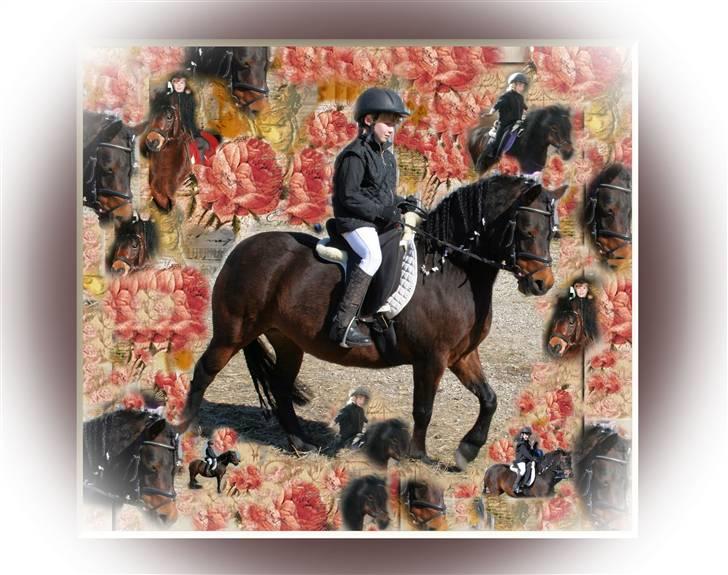 Dartmoor Mille Musen. ..solgt - min datter Liv på 7,5 år med sin pony "musen" på 6 år billede 1