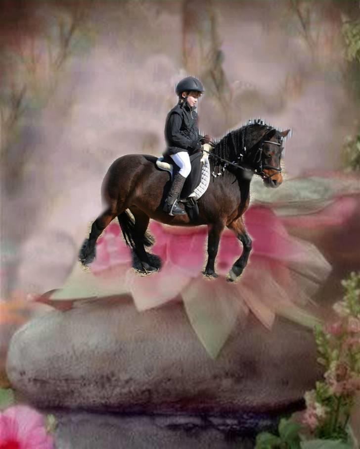 Dartmoor Mille Musen. ..solgt - musen vinter billede 2