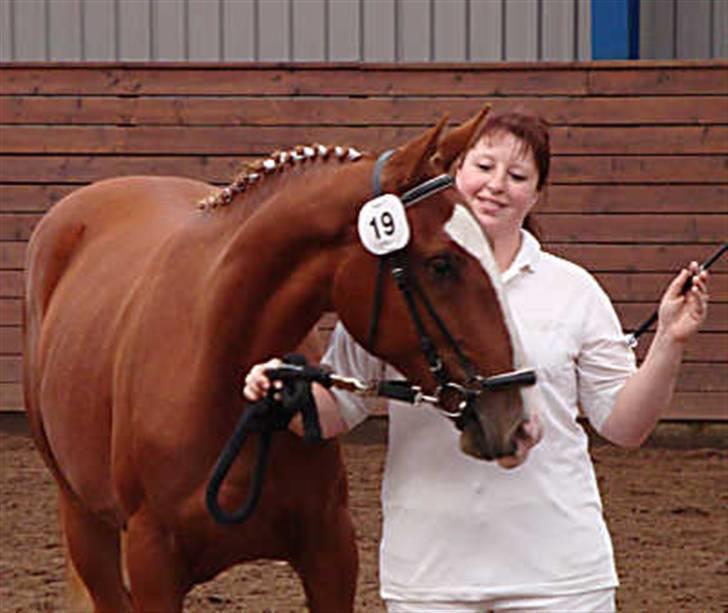 Frederiksborg Vivaldi´s Meg Ryan - Her står vi begge, stolt over hendes fløjplads som 1 års plag. billede 8