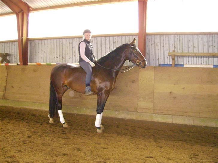 Oldenborg Tronkærs Lukas - Lukas 4år. kun efter få gange med rytter, kan man ride rundt uden sadel :)  billede 15